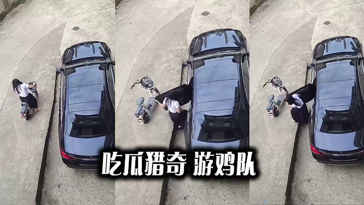 吃瓜猎奇 游鸡队